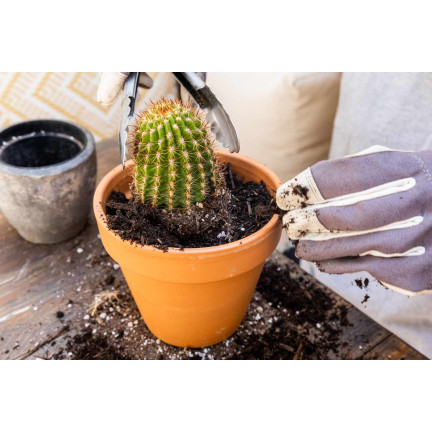 BIO10 PODŁOŻE ZIEMIA DO KAKTUSÓW I SUKULENTÓW ALOESU PRZEPUSZCZALNA 5L