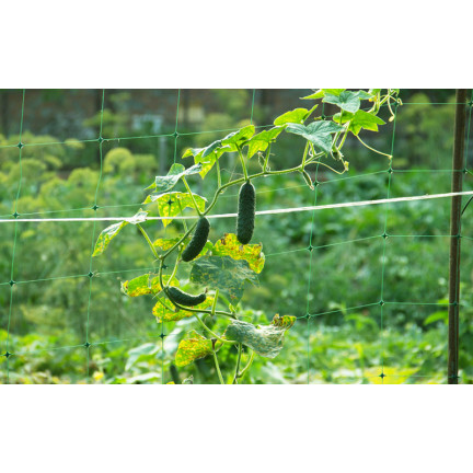 TG67381 SZNUREK OGRODNICZY BUDOWLANY PAKOWY 2MM X 500M