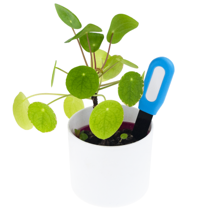 IM008 TESTER WILGOTNOŚCI GLEBY