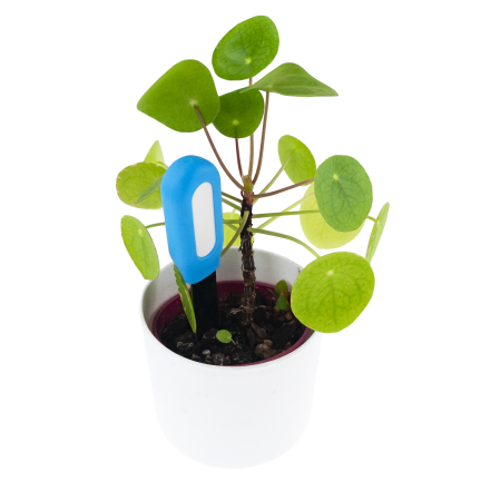 IM008 TESTER WILGOTNOŚCI GLEBY