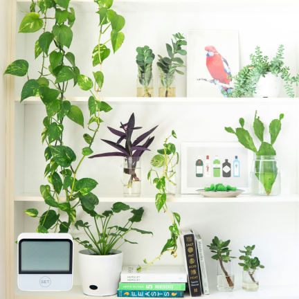 IM016 TERMOMETR STACJA POGODOWA POGODY BEZPRZEWODOWA HIGROMETR ZEGAR WIFI TUYA