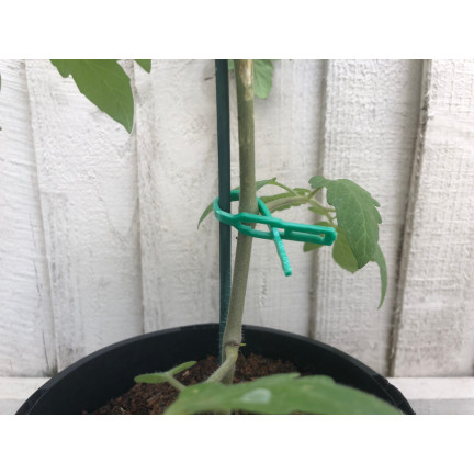 TG56594 OPASKI ZACISKOWE SPINKI OGRODNICZE TRYTYTKI DO ROŚLIN KLIPSY wielorazowe