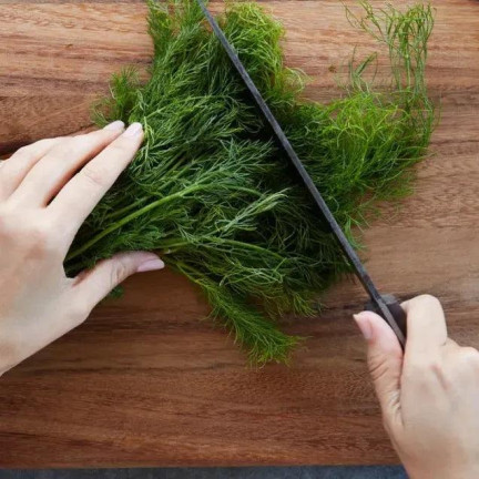 W1093 KOPER NASIONA KOPRU OGRODOWY KREZUS WCZESNY DO KISZENIA 5G