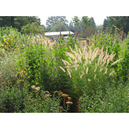 SUM27 NAWÓZ DO TRAW OZDOBNYCH SUMIN 1KG