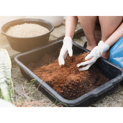 BIO16 BIOVITA COCO PEAT WŁÓKNO KOKOSOWE PODŁOŻE ROZLUŹNIONE 0-10MM 5L