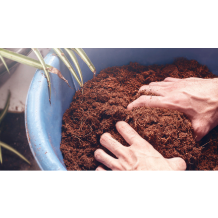 BIO16 BIOVITA COCO PEAT WŁÓKNO KOKOSOWE PODŁOŻE ROZLUŹNIONE 0-10MM 5L
