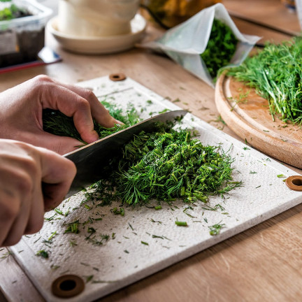 W1093 KOPER NASIONA KOPRU OGRODOWY KREZUS WCZESNY DO KISZENIA 5G