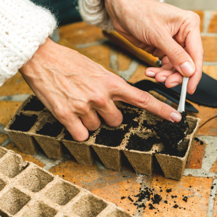 EDA3234 KOMPLET 3 PALETEK DONICZEK TOFROWYCH 24,5X12,5X6CM