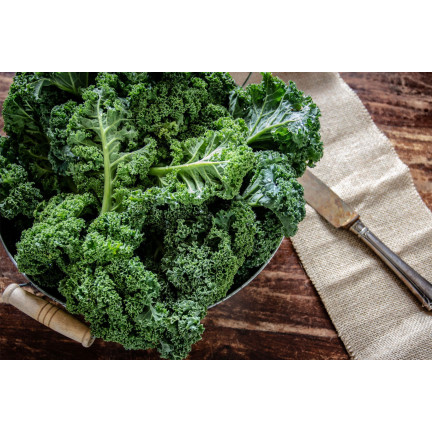 W1066 NASIONA JARMUŻU JARMUŻ KAPRAL ZIELONY  ŚREDNIOWCZESNY ODPORNY ZDROWY 1g