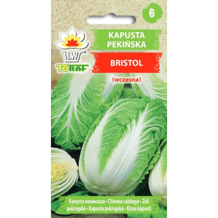W1088 KAPUSTA PEKIŃSKA NASIONA KAPUSTY BRISTOL WCZESNA DUŻE SMACZNE GŁÓWKI 1G
