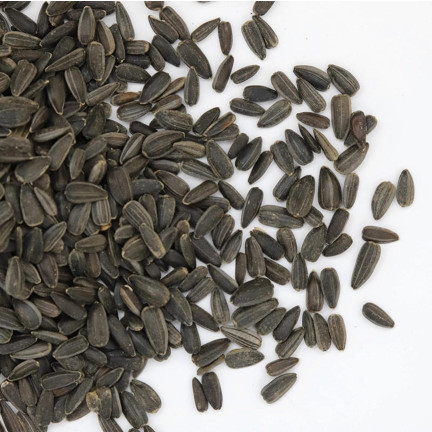 TUR5 CZARNY SŁONECZNIK ZIARNO POKARM KARMA MIESZANKA DLA PTAKÓW NA ZIMĘ 1KG