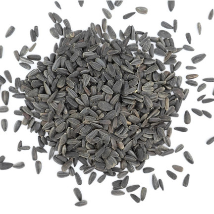 TUR5 CZARNY SŁONECZNIK ZIARNO POKARM KARMA MIESZANKA DLA PTAKÓW NA ZIMĘ 1KG