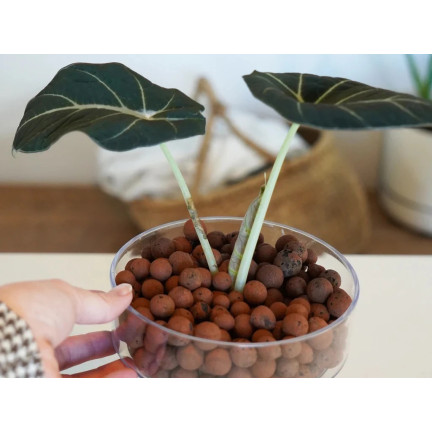 BIO4 BIOVITA KERAMZYT 5L 8-16MM OGRODNICZY NATURALNY DRENAŻ DONICZKI