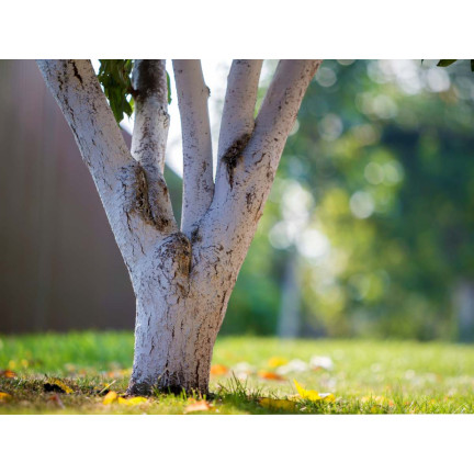 SUM16 WAPNO DO ODKWASZANIA PODŁOŻA 2KG