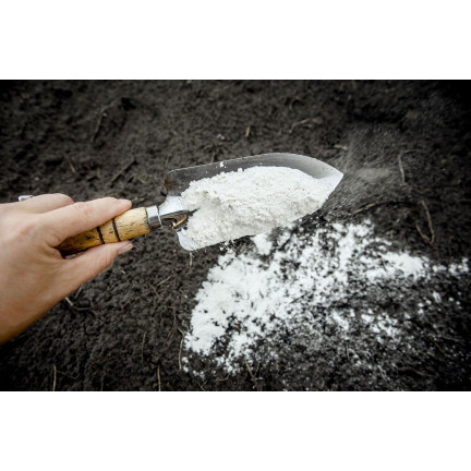 SUM16 WAPNO DO ODKWASZANIA PODŁOŻA 2KG