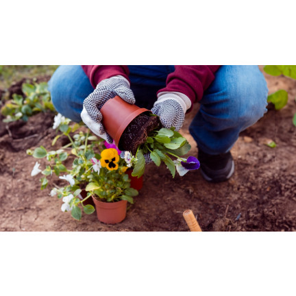 BIO7 ZIEMIA UNIWERSALNA 20L BIOVITA DO KWIATÓW ROŚLIN ZIELONYCH