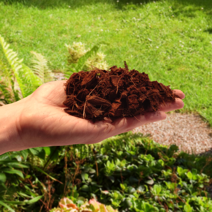 BIO3 BIOVITA COCO CHIPS CHIPSY KOKOSOWE 5L PODŁOŻE ZRĘBKI WŁÓKNO DO ROŚLIN KWIATÓW