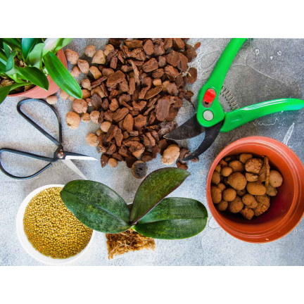 BIO8 NATURALNE PODŁOŻE ZIEMIA DO STORCZYKÓW ORCHIDEI 3L BIOVITA