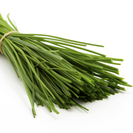 W0784 SZCZYPIOREK BOHEMIA 2G NASIONA SZCZYPIORKU SZYBKO ROŚNIE WIELOLETNI