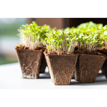 EDA3227 DONICZKI TORFOWE NA ROZSADY SADZONKI 6x tacka 72szt