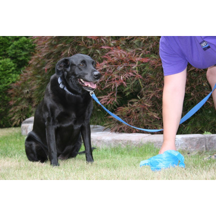 TG67395 WORKI WORECZKI NA PSIE ODCHODY KUPY ZESTAW 375 szt 25 ROLEK