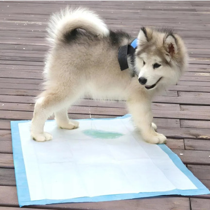 Podkłady higieniczne, maty chłonne dla zwierząt, do nauki czystości, zestaw 50szt., 60x60cm