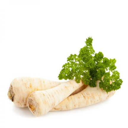 T8005 PIETRUSZKA KORZENIOWA NA TAŚMIE HALBLANGE TAŚMA NASIENNA 6M NASIONA PIETRUSZKI