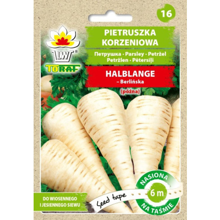 T8005 PIETRUSZKA KORZENIOWA NA TAŚMIE HALBLANGE TAŚMA NASIENNA 6M NASIONA PIETRUSZKI