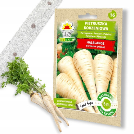 T8005 PIETRUSZKA KORZENIOWA NA TAŚMIE HALBLANGE TAŚMA NASIENNA 6M NASIONA PIETRUSZKI