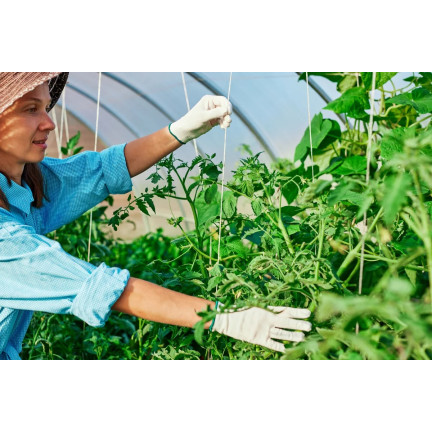 TG67381 SZNUREK OGRODNICZY BUDOWLANY PAKOWY 2MM X 500M