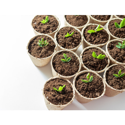 BIO14 ZIEMIA DO WYSIEWU NASION PIKOWANIA SADZENIA Z WŁÓKNEM KOKOSOWYM 20L