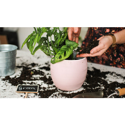 BIO15 ZIEMIA UNIWERSALNA BIO EKOLOGICZNA DO KWIATÓW ROŚLIN 10L Z NAWOZEM