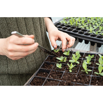 BIO5 ZIEMIA DO WYSIEWU NASION GOTOWA PIKOWANIA ROZSADY Z WŁÓKNEM KOKOSOWYM 5L