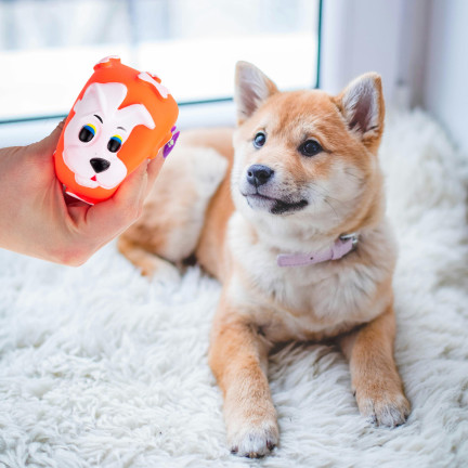 19041 PIŁKA ZABAWKA DLA PSA KOTA PIŁECZKA PISZCZĄCA GUMOWA GRYZAK PISZCZAŁKA