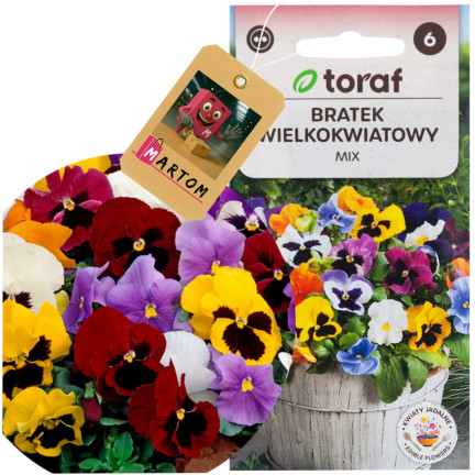 R0463 BRATEK WIELKOKWIATOWY MIX 0,2G NASIONA