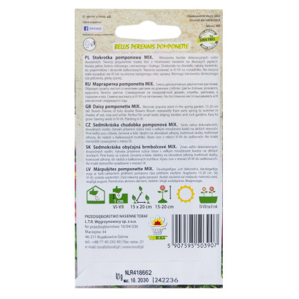 R3907 STOKROTKA POMPONOWA MIX NASIONA 0,1G KOLOR KWIATY