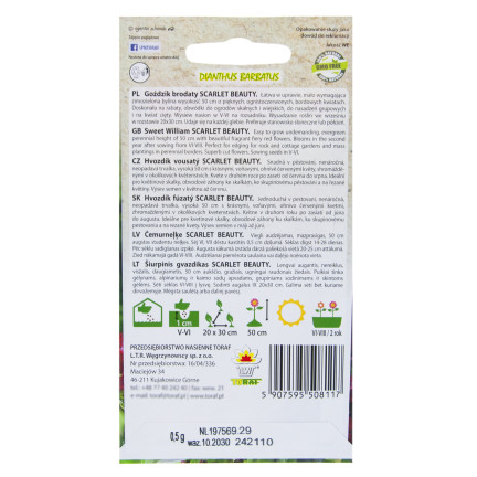 R8117 GOŹDZIK BRODATY SCARLET BEAUTY NASIONA 0,5