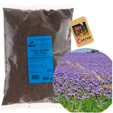 R8803 FACELIA BŁĘKITNA ODMIANA STALA 500G na poplon