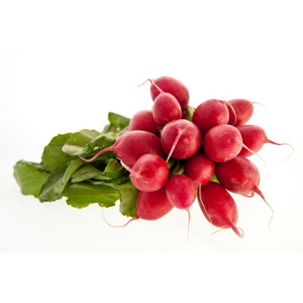 T8339 RZODKIEWKA na Taśmie nasiennej 6M NASIONA RZODKIEWKI OKRĄGŁA ŁAGODNA