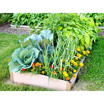 SUM55 OBORNIK KURZY GRANULOWANY 8L NAWÓZ NATURALNY SUMIN