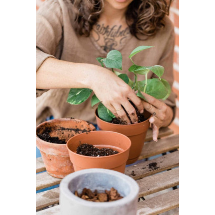 BIO6 ZIEMIA UNIWERSALNA 10L DO KWIATÓW ROŚLIN ZIELONYCH BIOVITA