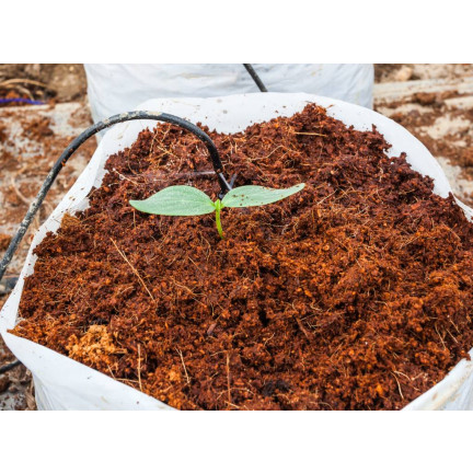 BIO16 BIOVITA COCO PEAT WŁÓKNO KOKOSOWE PODŁOŻE ROZLUŹNIONE 0-10MM 5L