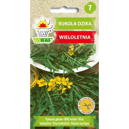 W1255 RUKOLA DZIKA WIELOLETNIA NASIONA RUKOLI SAŁATY WARZYW PIKANTNA 1G