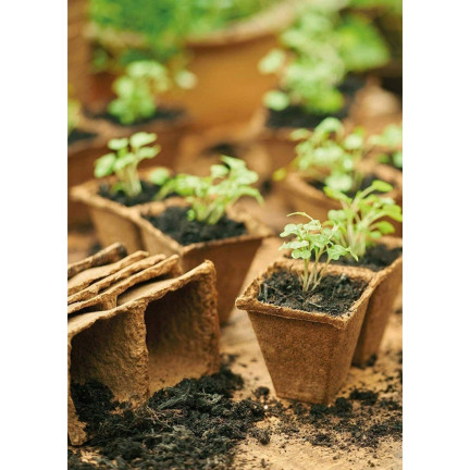 EDA3234 KOMPLET 3 PALETEK DONICZEK TOFROWYCH 24,5X12,5X6CM