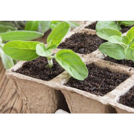 EDA3234 KOMPLET 3 PALETEK DONICZEK TOFROWYCH 24,5X12,5X6CM