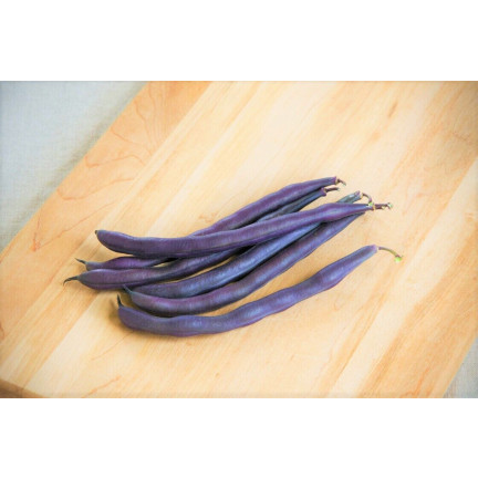 W6991 FASOLA SZPARAGOWA KARŁOWATA PURPLE TEEPEE NASIONA WARZYW FASOLI 30G