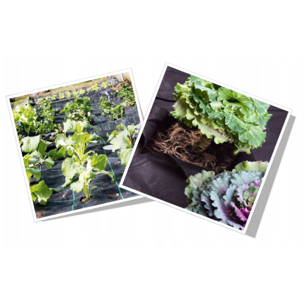 AGO0434 AGROWŁÓKNINA antychwastowa 1x10 M 50g/m2 100% UV2%