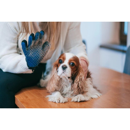 2366 RĘKAWICA DO CZESANIA PSA WYCZESYWANIA MASAŻU