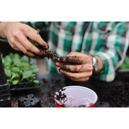 BIO5 ZIEMIA DO WYSIEWU NASION GOTOWA PIKOWANIA ROZSADY Z WŁÓKNEM KOKOSOWYM 5L