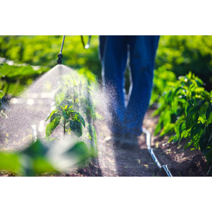 SUM41 HELP PLANT MAGNEZ (MG) 20G